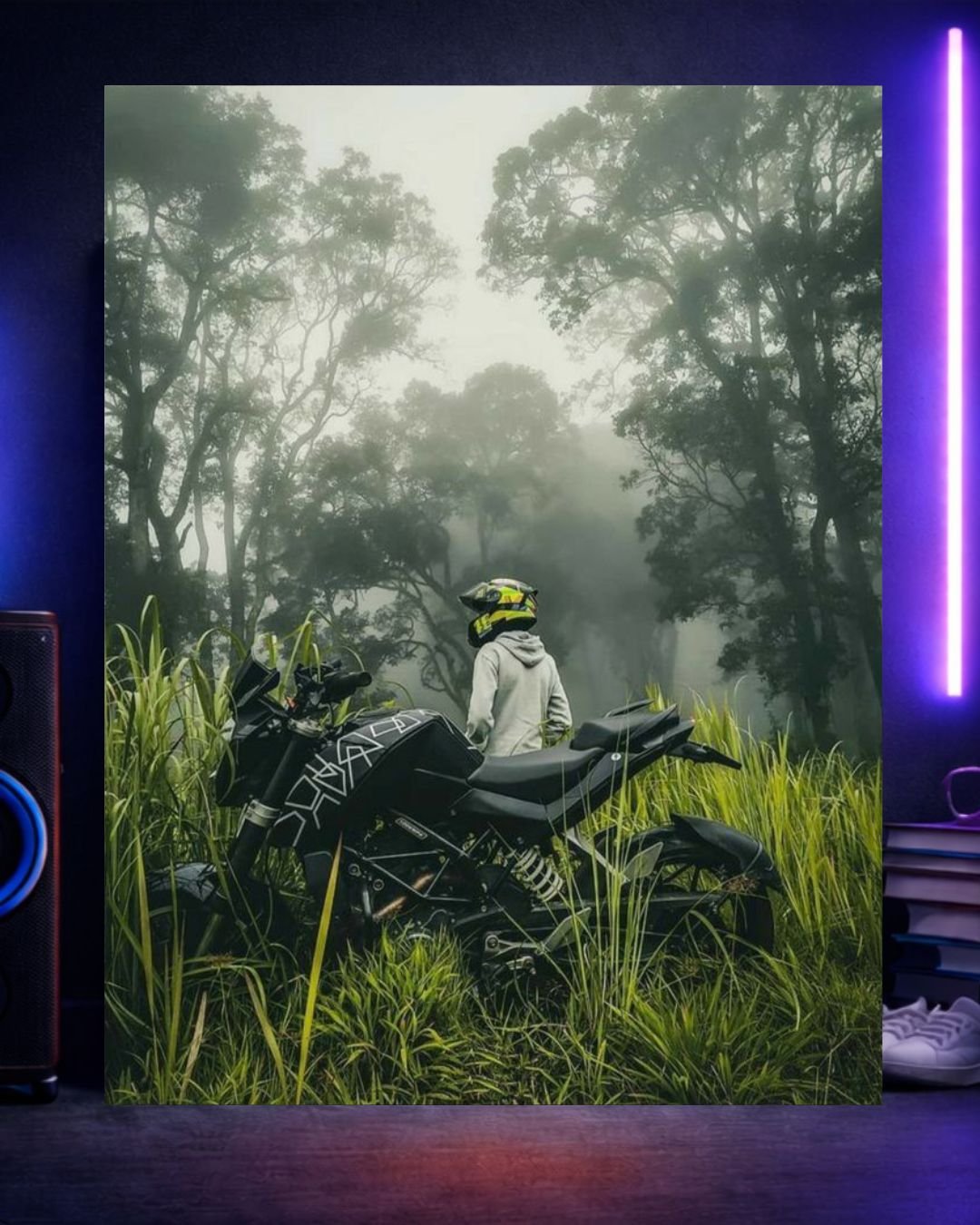 Misty Rider - Image 2